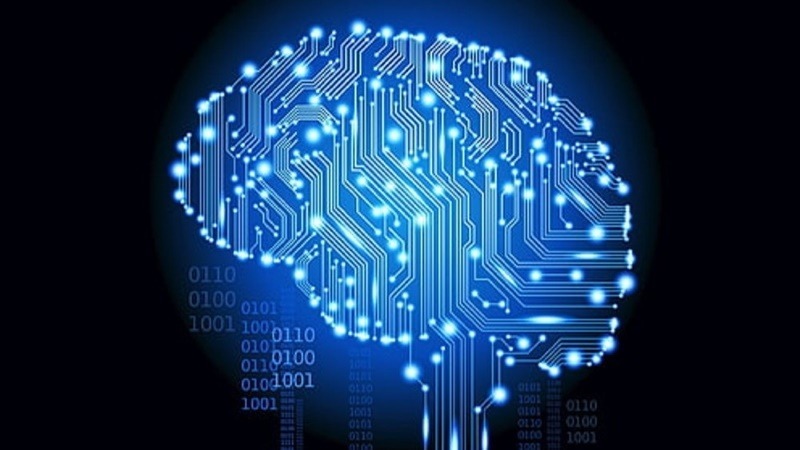 AI brain circuitry feature image